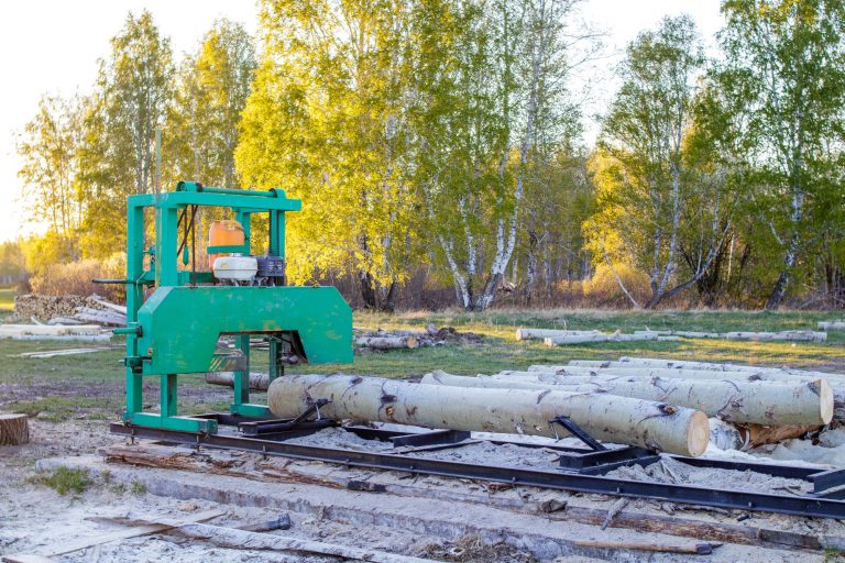 A small sawmill for processing wood in the countryside. Aspen logs. In the background - the spring forest at sunset.